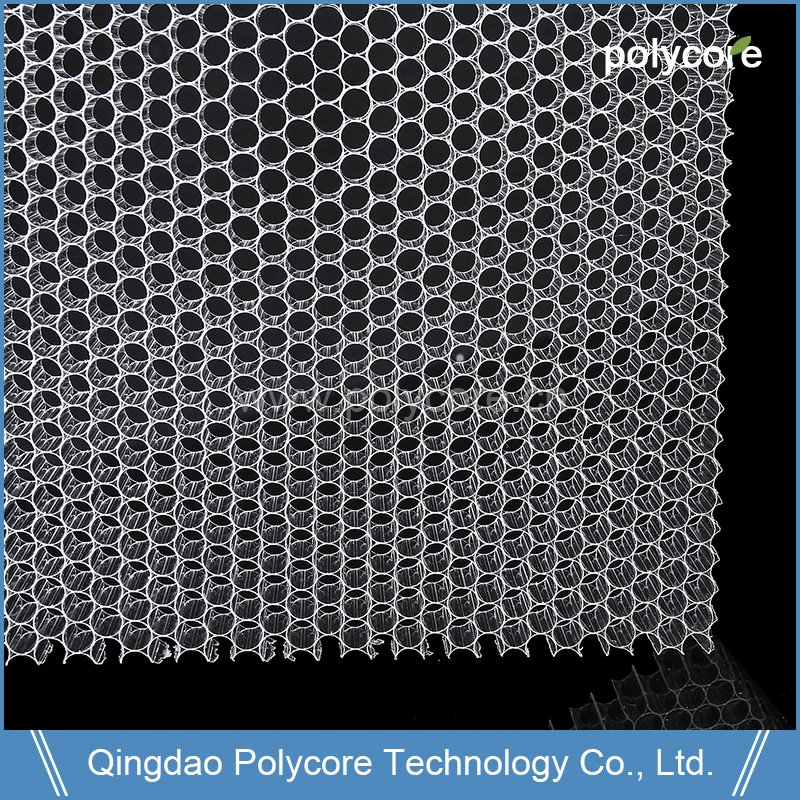 big corecell plastic honeycomb scale production in China