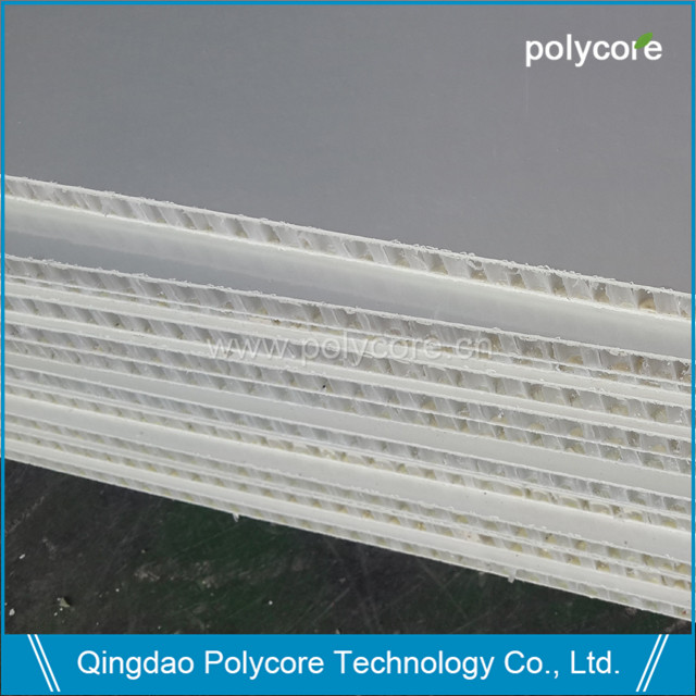 PP honeycomb composite panel.jpg
