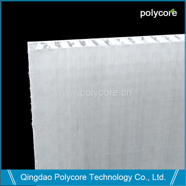 Polycore LITPan original skin-3